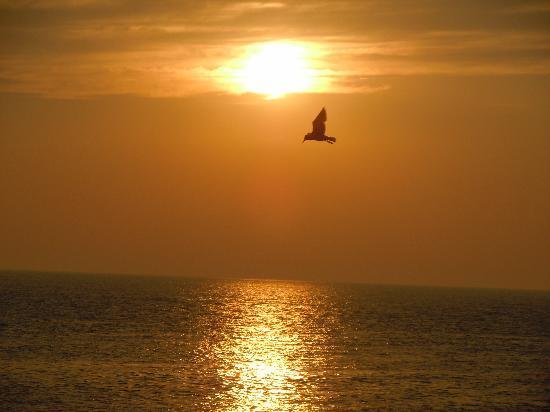 Henry Sawyer Inn Cape May Esterno foto